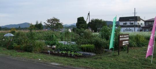 市民農園の利用者・ふれあいの郷小来川で「野菜とそば」づくり体験者募集