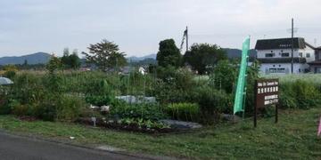 市民農園の利用者・ふれあいの郷小来川で「野菜とそば」づくり体験者募集